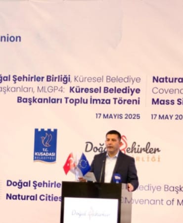 17530924521112729071