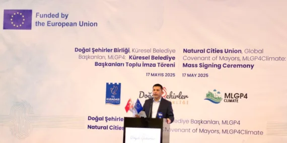 17530924521112729071