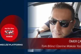 17662184251161374094