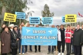 17714915522145722350