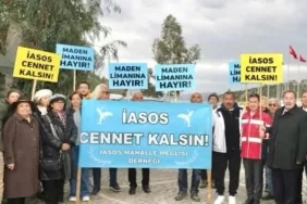 17714915522145722350