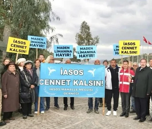 17714915522145722350