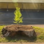 17745977921588954571