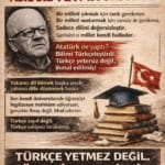 17767107191147115958