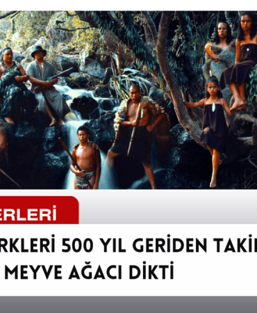 AVRUPA, TÜRKLERİ 500 YIL GERİDEN TAKİP EDEREK SOKAKLARA MEYVE AĞACI DİKTİ
