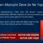 Dikeni Seven Mazoşist Deve ile Ne Yapacağız