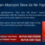 Dikeni Seven Mazoşist Deve ile Ne Yapacağız