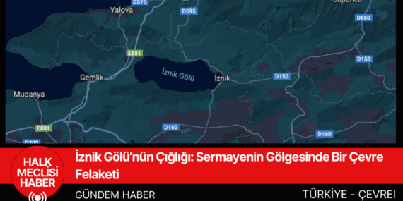 İznik Gölü’nün Çığlığı: Sermayenin Gölgesinde Bir Çevre Felaketi
