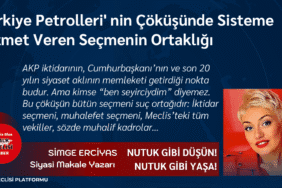 Türkiye Petrolleri' nin Çöküşünde Sisteme Hizmet Veren Seçmenin Ortaklığı