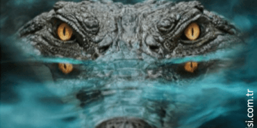 Screen Shot 20.07.2025 at 15.26