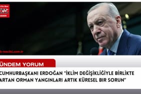 erdoğan iklim değişikliğiyle gelen otman yangınları küresel bir sorun