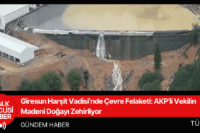 Giresun Harşit Vadisi’nde Çevre Felaketi AKP’li Vekilin Madeni Doğayı Zehirliyor