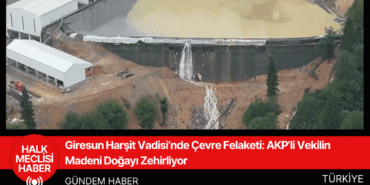 Giresun Harşit Vadisi’nde Çevre Felaketi AKP’li Vekilin Madeni Doğayı Zehirliyor