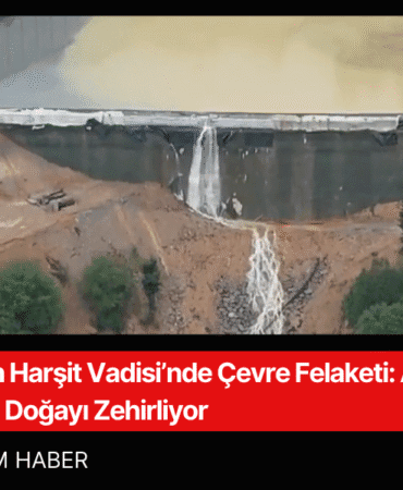 Giresun Harşit Vadisi’nde Çevre Felaketi AKP’li Vekilin Madeni Doğayı Zehirliyor