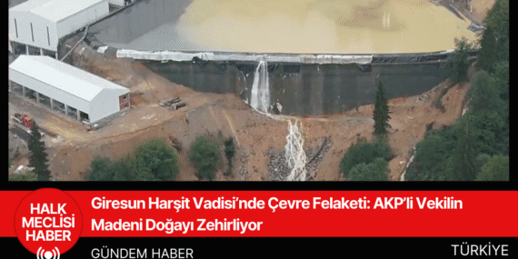 Giresun Harşit Vadisi’nde Çevre Felaketi: AKP’li Vekilin Madeni Doğayı Zehirliyor