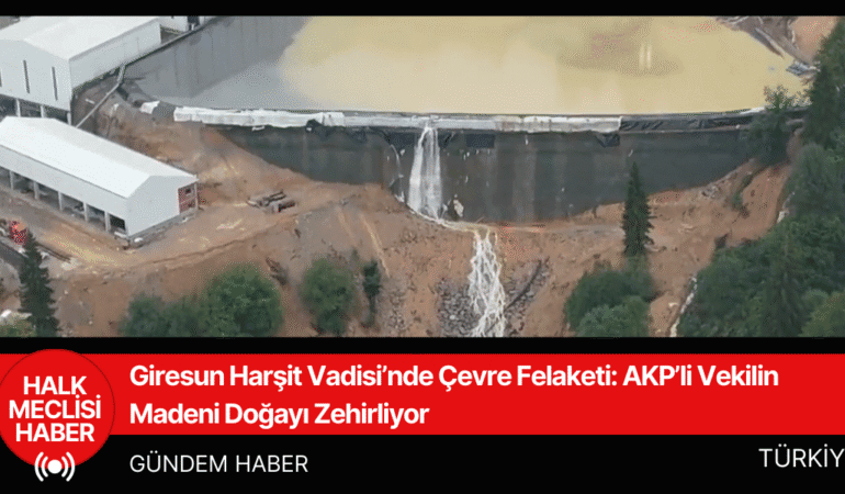 Giresun Harşit Vadisi’nde Çevre Felaketi AKP’li Vekilin Madeni Doğayı Zehirliyor