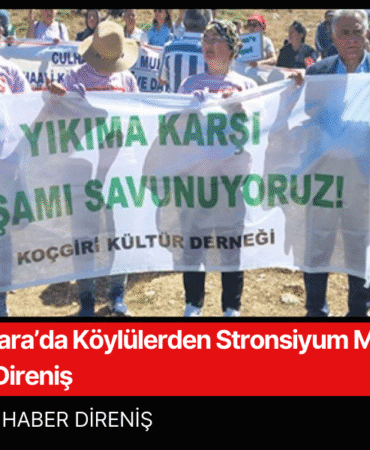 halk meclisi (30)