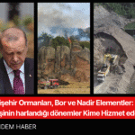 Eskişehir Ormanları, Bor ve Nadir Elementler: Cehennem Ateşinin harlandığı dönemler Kime Hizmet edecek