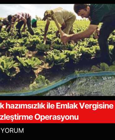 halk meclisi (4)