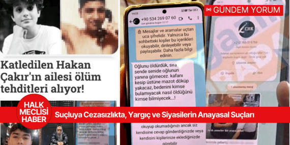 Suçluya Cezasızlıkta, Yargıç ve Siyasilerin Anayasal Suçları