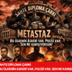 Bu ülkenin askeri var polisi var sen neden karışıyorsun.