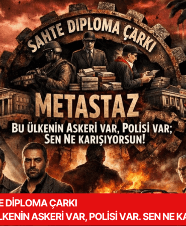 Bu ülkenin askeri var polisi var sen neden karışıyorsun.